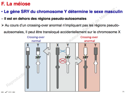 Capture d’écran 2015-10-01 à 18.35.29.png