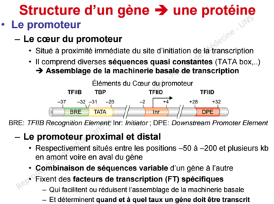 Capture d’écran 2015-10-01 à 19.17.31.png