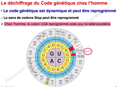 Capture d’écran 2015-10-01 à 21.46.24.png