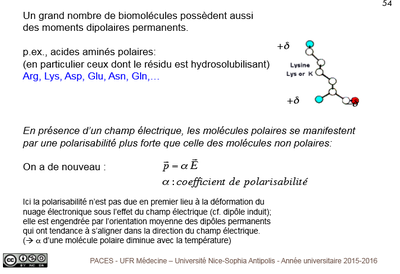 polarisabilité.png