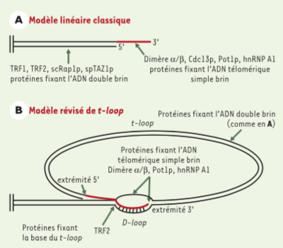 Capture d’écran 2015-10-03 à 18.11.58.png