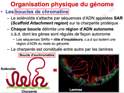 Capture d’écran 2015-10-06 à 21.04.47.png