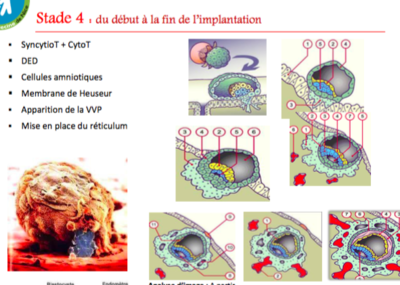 Capture d’écran 2015-10-07 à 08.45.51.png