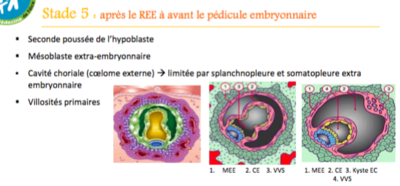 Capture d’écran 2015-10-07 à 08.46.01.png