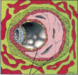 Capture d’écran 2015-10-07 à 10.35.48.png