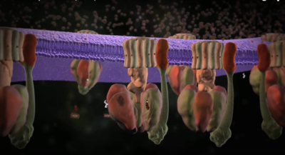 Capture d’écran 2015-10-07 à 22.10.23.png