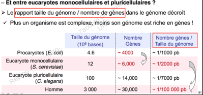 Capture d’écran 2015-10-10 à 21.54.12.png