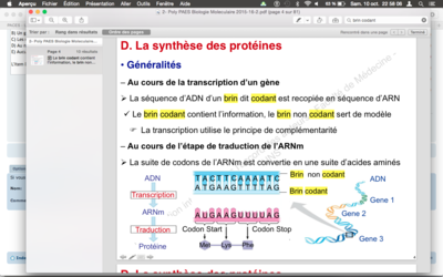 Capture d’écran 2015-10-10 à 22.58.00.png