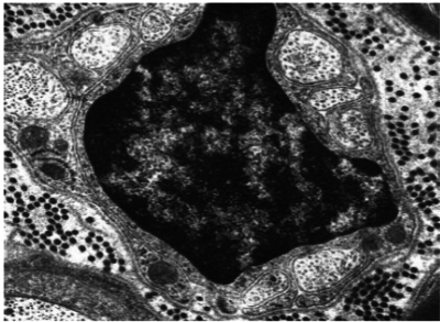 Capture d’écran 2015-10-11 à 11.50.25.png