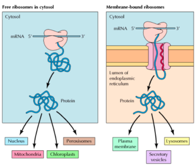 Capture d’écran 2015-10-11 à 18.58.56.png