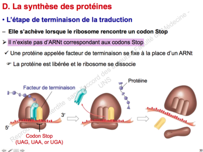 Capture d’écran 2015-10-11 à 22.24.48.png
