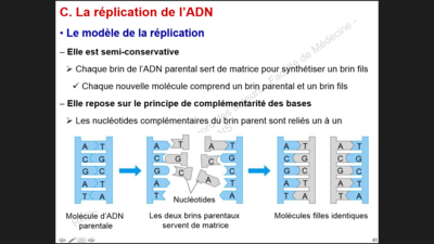 Capture d’écran (29).png