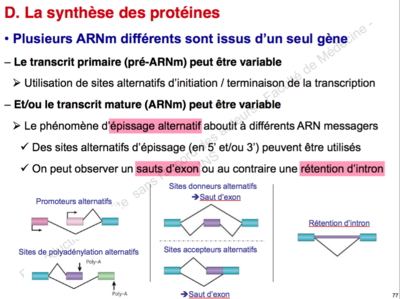 Capture d’écran 2015-10-12 à 20.52.20.png