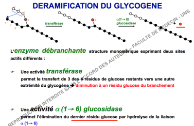 Capture d’écran 2015-10-19 à 10.53.04.png