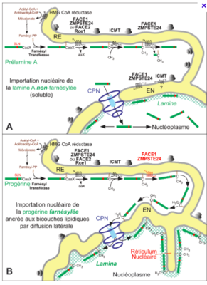 Capture d’écran 2015-10-19 à 13.22.51.png