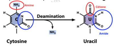 Capture d’écran 2015-10-19 à 17.28.06.png