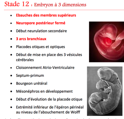 Capture d’écran 2015-10-20 à 21.23.31.png