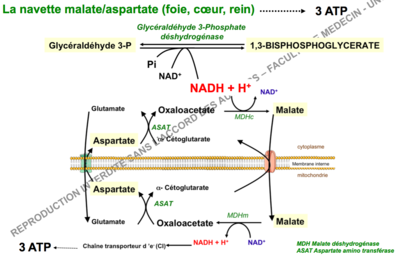 Capture d’écran 2015-10-21 à 10.18.48.png