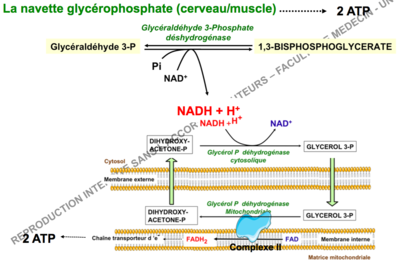 Capture d’écran 2015-10-21 à 10.19.05.png