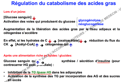 Capture d’écran 2015-10-22 à 13.40.32.png