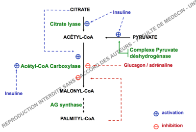 Capture d’écran 2015-10-22 à 14.45.55.png
