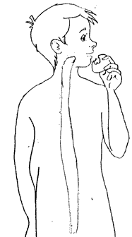 digest1.gif
