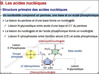 Acide phosphorique.JPG
