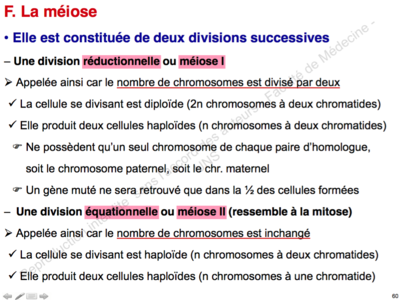 Capture d’écran 2015-10-25 à 13.23.28.png