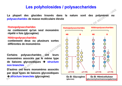 Hémicellulose.png
