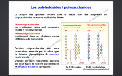 Capture d’écran 2015-10-28 à 00.47.49.png