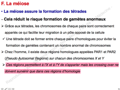 Capture d’écran 2015-10-28 à 12.18.15.png