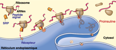 Capture d’écran 2015-10-28 à 14.01.50.png
