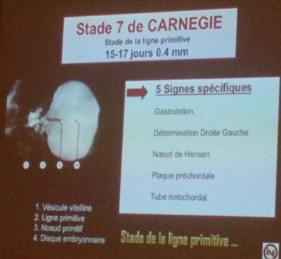 Capture d’écran 2015-10-29 à 22.59.55.png