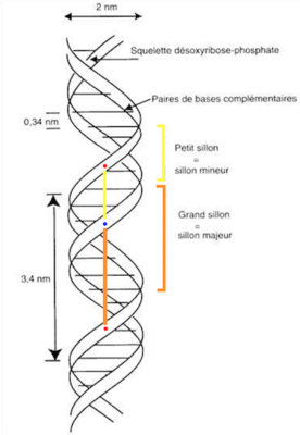 Capture d’écran 2015-10-30 à 16.15.32.png