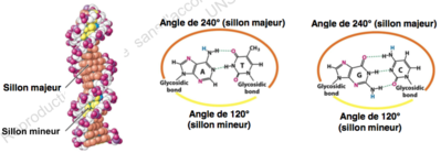 Capture d’écran 2015-10-30 à 15.55.34.png