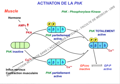 Capture d’écran 2015-10-30 à 16.37.17.png