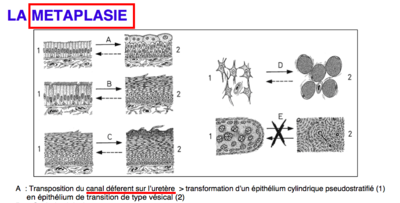 Capture d’écran 2015-10-30 à 22.06.18.png