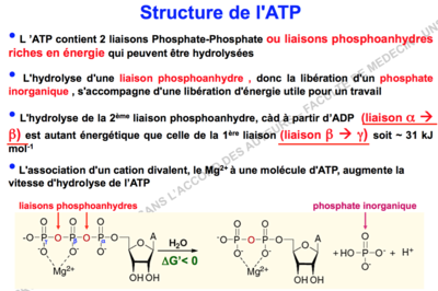 Capture d’écran 2015-11-01 à 11.03.16.png