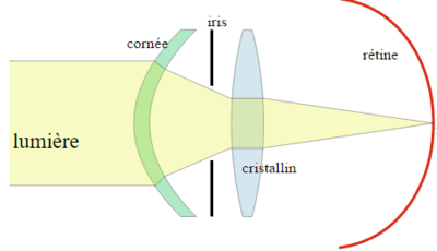 Modèle optique de l'oeil.PNG