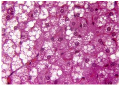 Capture d’écran 2015-11-02 à 13.40.09.png