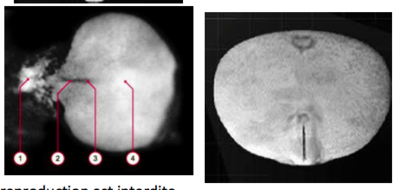 Capture d’écran 2015-11-02 à 16.44.21.png
