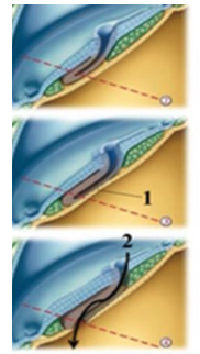 Capture d’écran 2015-11-02 à 19.30.19.png