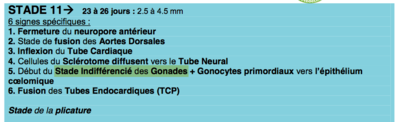 Capture d’écran 2015-11-03 à 22.08.29.png
