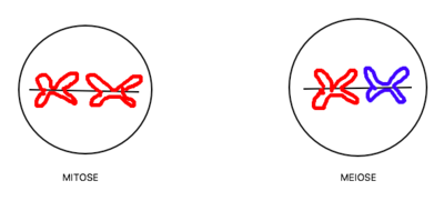 Capture d’écran 2015-11-04 à 09.00.33.png