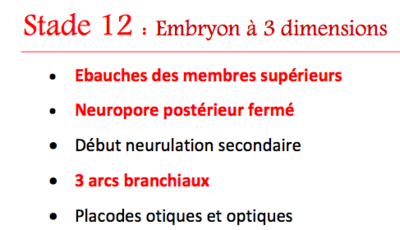 Capture d’écran 2015-11-04 à 11.20.00.png