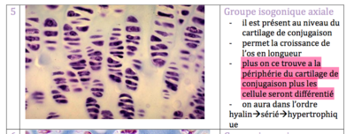 Capture d’écran 2015-11-05 à 19.51.48.png