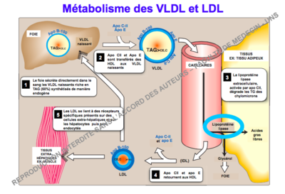 Capture d’écran 2015-11-06 à 10.16.26.png