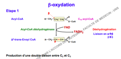 Capture d’écran 2015-11-06 à 15.06.41.png