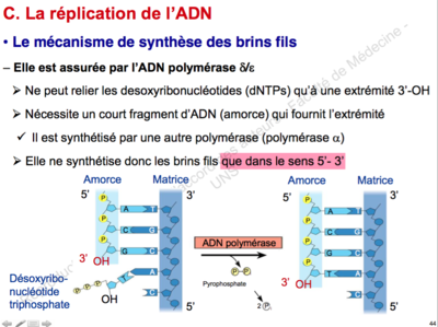 Capture d’écran 2015-11-07 à 00.01.32.png