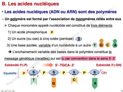 Capture d’écran 2015-11-07 à 00.00.46.png